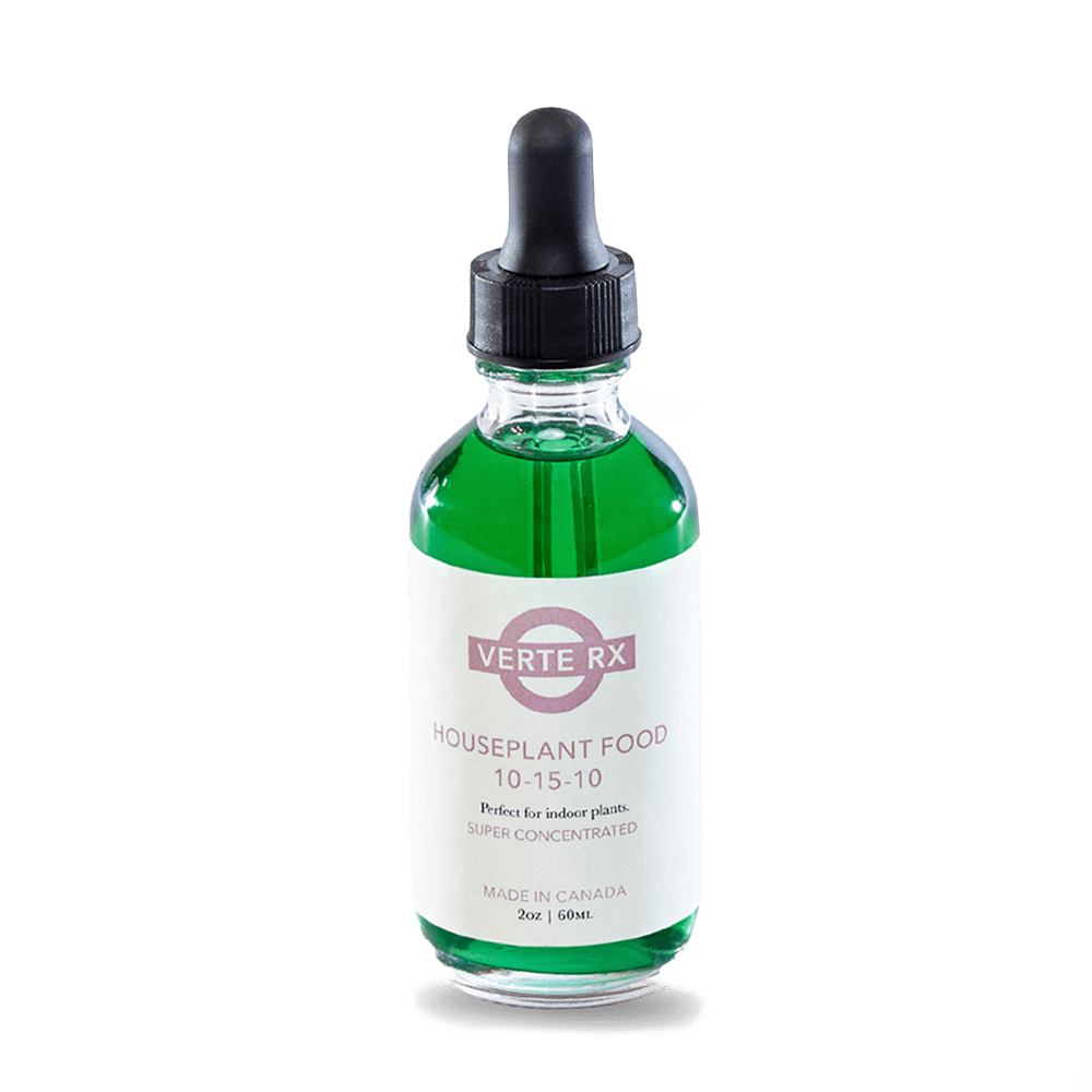 Verte Rx Plant Vitamins Supplements - Chive Ceramics Studio - Plant Supplements - Chive Ceramics Studio