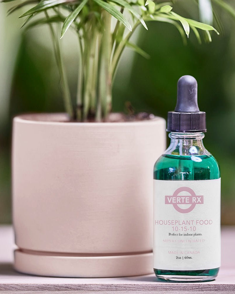 Verte Rx Houseplant Food 10 - 15 - 10 - Chive Ceramics Studio - Chive Ceramics Studio