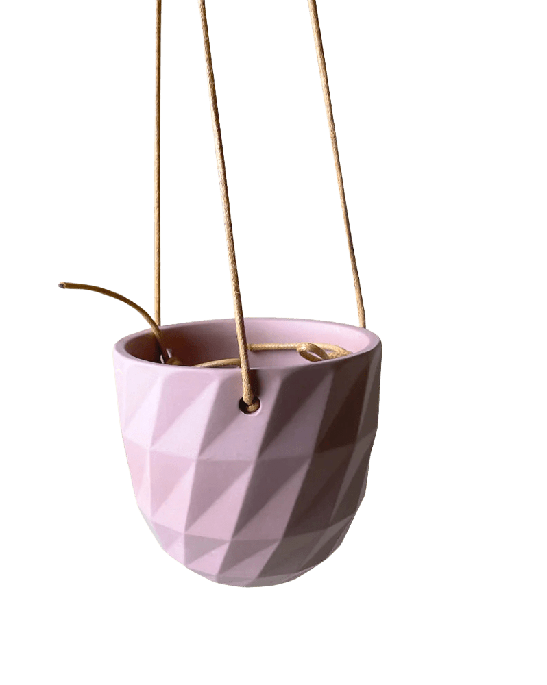 Virago Ceramic Modern Hanging Planter - Chive Ceramics Studio - Pots - Chive US