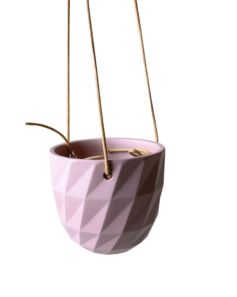 Virago Ceramic Modern Hanging Planter - Chive Ceramics Studio - Pots - Chive US