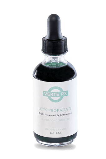 Verte Rx Let's Propagate Plant Propagator - Chive Ceramics Studio - Chive Ceramics Studio