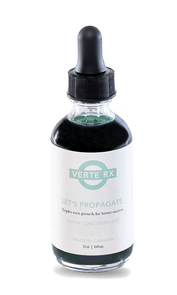 Verte Rx Let's Propagate Plant Propagator - Chive Ceramics Studio - Chive Ceramics Studio