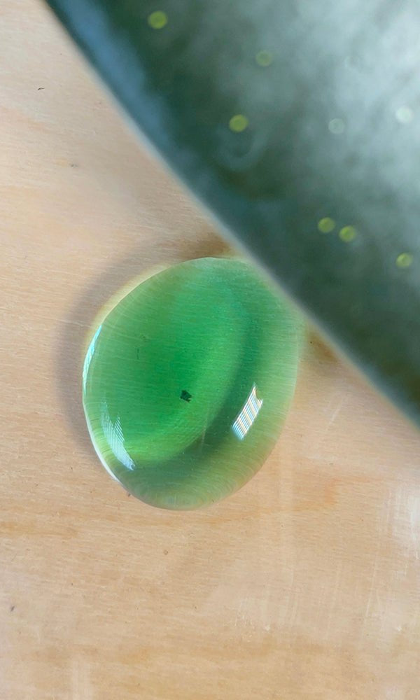 Verte Rx Let's Propagate Plant Propagator - Chive Ceramics Studio - Chive Ceramics Studio