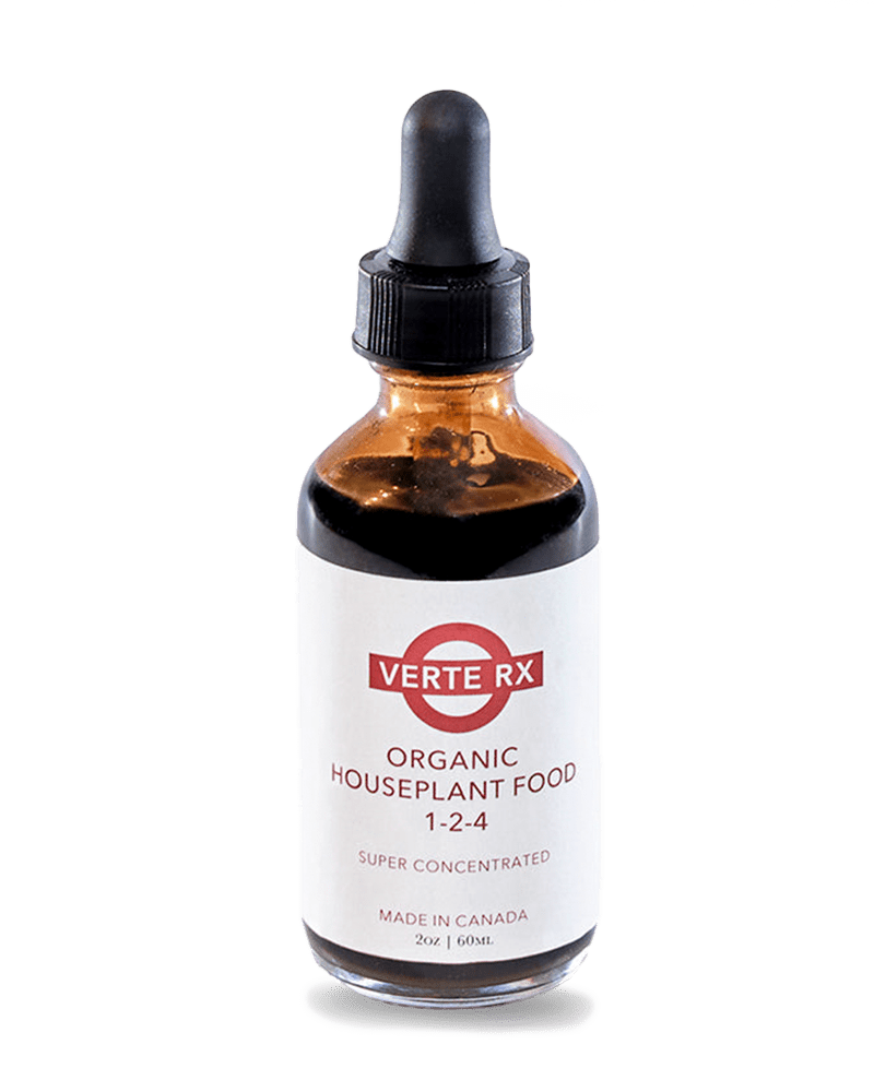 Verte Rx Organic Houseplant Food - Chive Ceramics Studio - Chive US