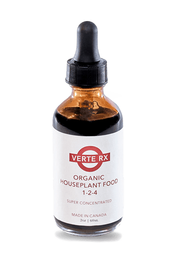 Verte Rx Organic Houseplant Food - Chive Ceramics Studio - Chive US