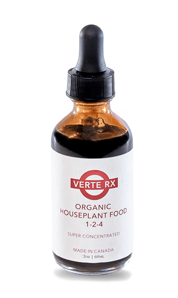 Verte Rx Organic Houseplant Food - Chive Ceramics Studio - Chive US