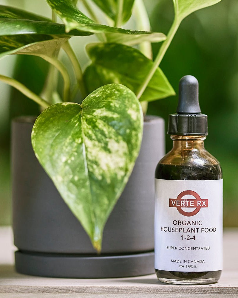 Verte Rx Organic Houseplant Food - Chive Ceramics Studio - Chive US