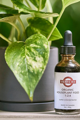 Verte Rx Organic Houseplant Food - Chive Ceramics Studio - Chive US