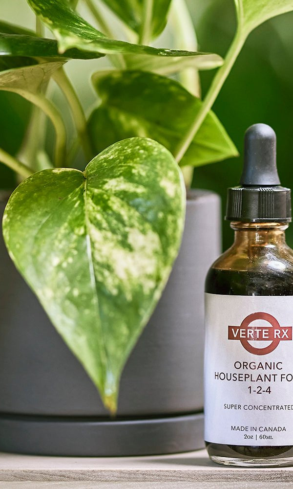 Verte Rx Organic Houseplant Food - Chive Ceramics Studio - Chive US
