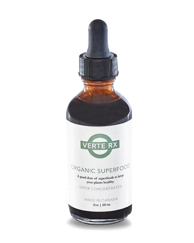 Verte Rx Organic Plant Superfood - Chive Ceramics Studio - Chive US