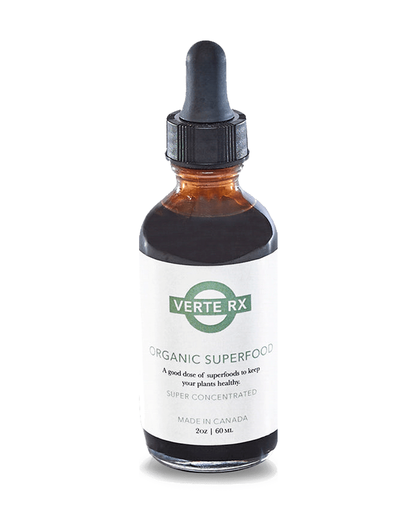 Verte Rx Organic Plant Superfood - Chive Ceramics Studio - Chive US
