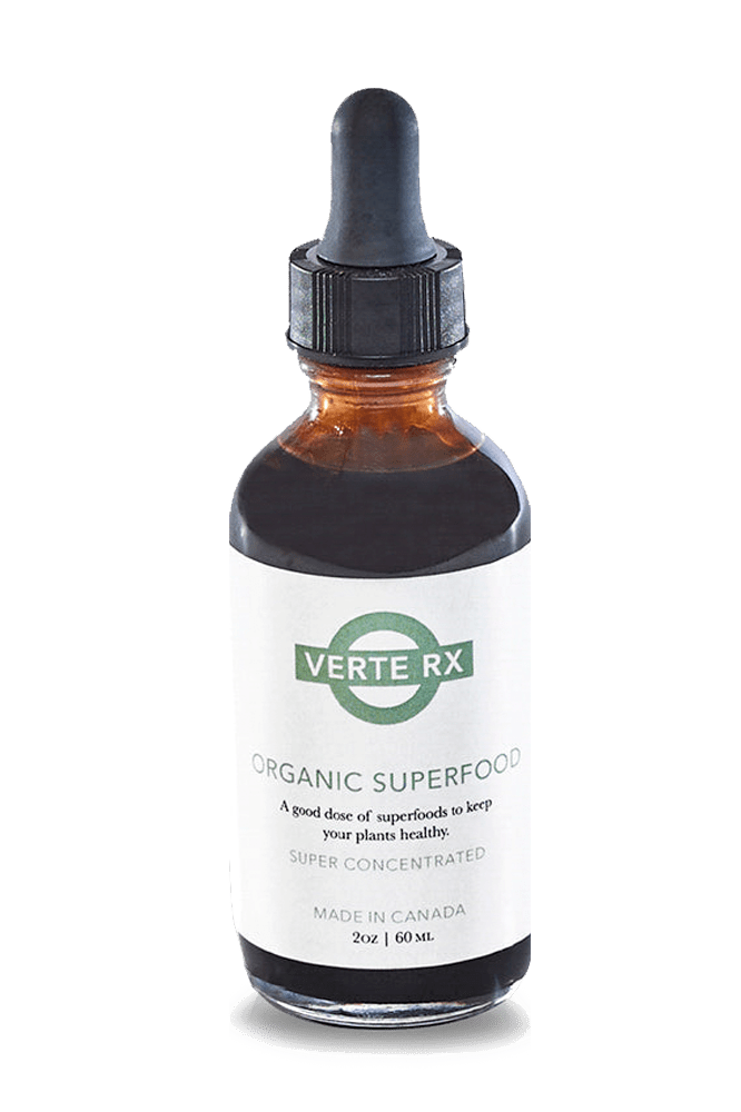 Verte Rx Organic Plant Superfood - Chive Ceramics Studio - Chive US