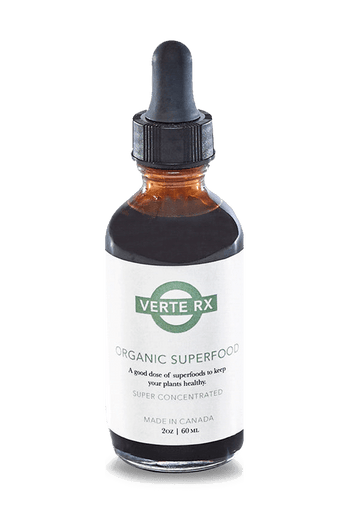 Verte Rx Organic Plant Superfood - Chive Ceramics Studio - Chive US