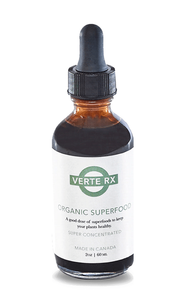 Verte Rx Organic Plant Superfood - Chive Ceramics Studio - Chive US