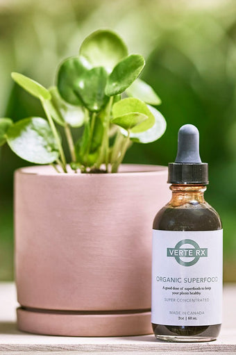 Verte Rx Organic Plant Superfood - Chive Ceramics Studio - Chive US