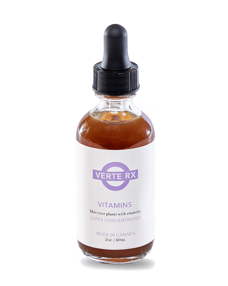 Verte Rx Plant Vitamins - Chive Ceramics Studio - Chive Ceramics Studio