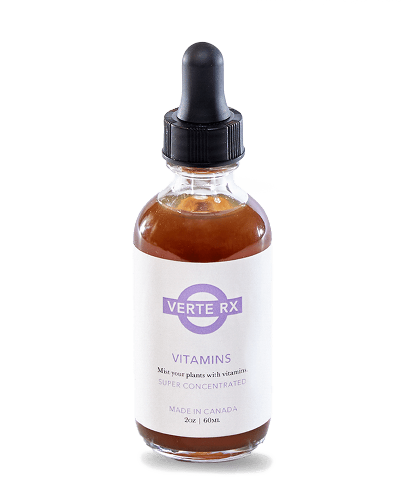 Verte Rx Plant Vitamins - Chive Ceramics Studio - Chive Ceramics Studio