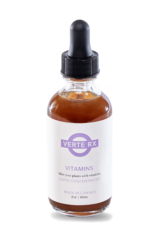 Verte Rx Plant Vitamins - Chive Ceramics Studio - Chive Ceramics Studio