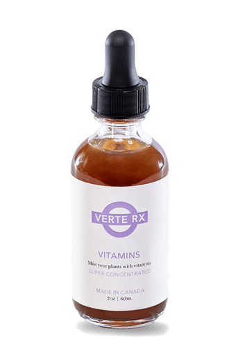 Verte Rx Plant Vitamins - Chive Ceramics Studio - Chive Ceramics Studio