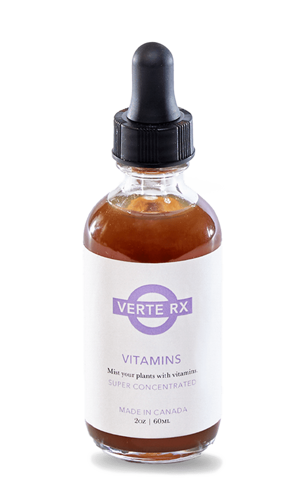 Verte Rx Plant Vitamins - Chive Ceramics Studio - Chive Ceramics Studio