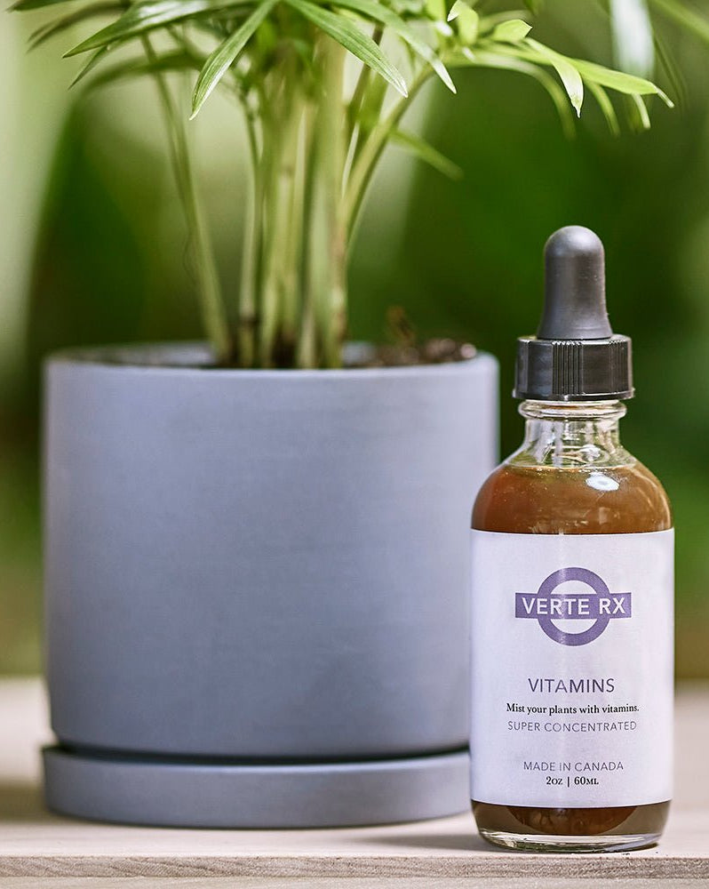 Verte Rx Plant Vitamins - Chive Ceramics Studio - Chive Ceramics Studio