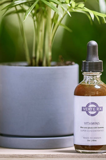 Verte Rx Plant Vitamins - Chive Ceramics Studio - Chive Ceramics Studio