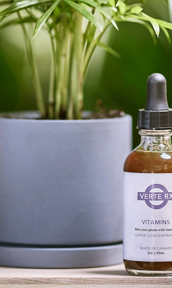 Verte Rx Plant Vitamins - Chive Ceramics Studio - Chive Ceramics Studio