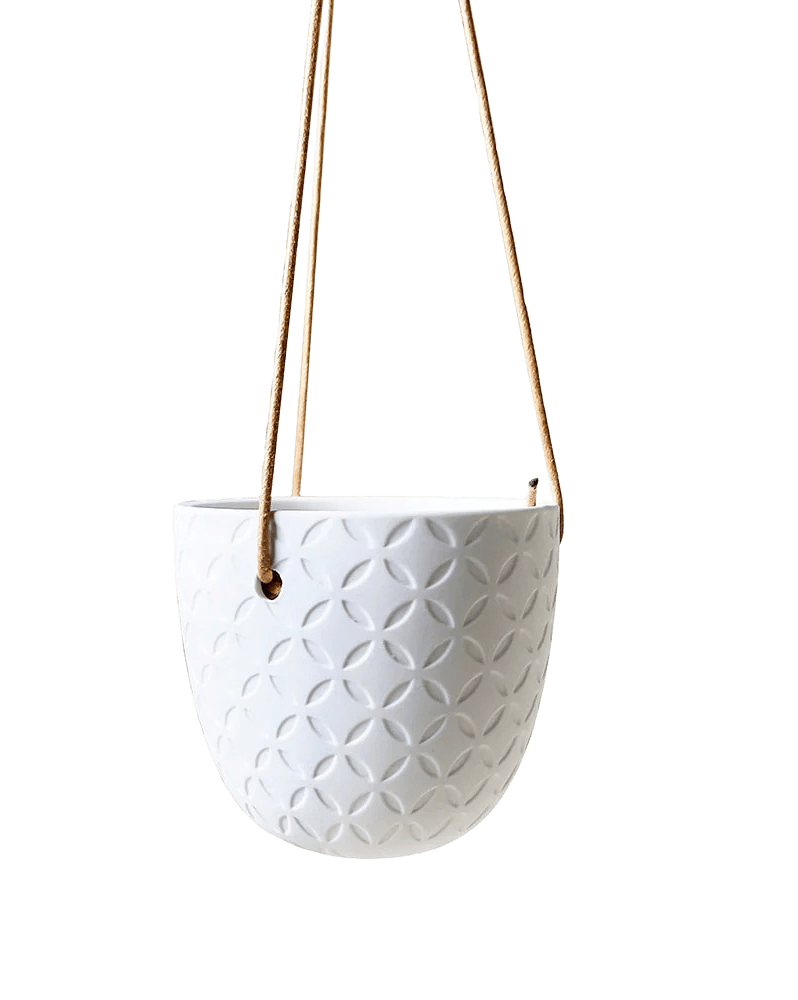 Virago Ceramic Modern Hanging Planter - Chive Ceramics Studio - Pots - Chive US