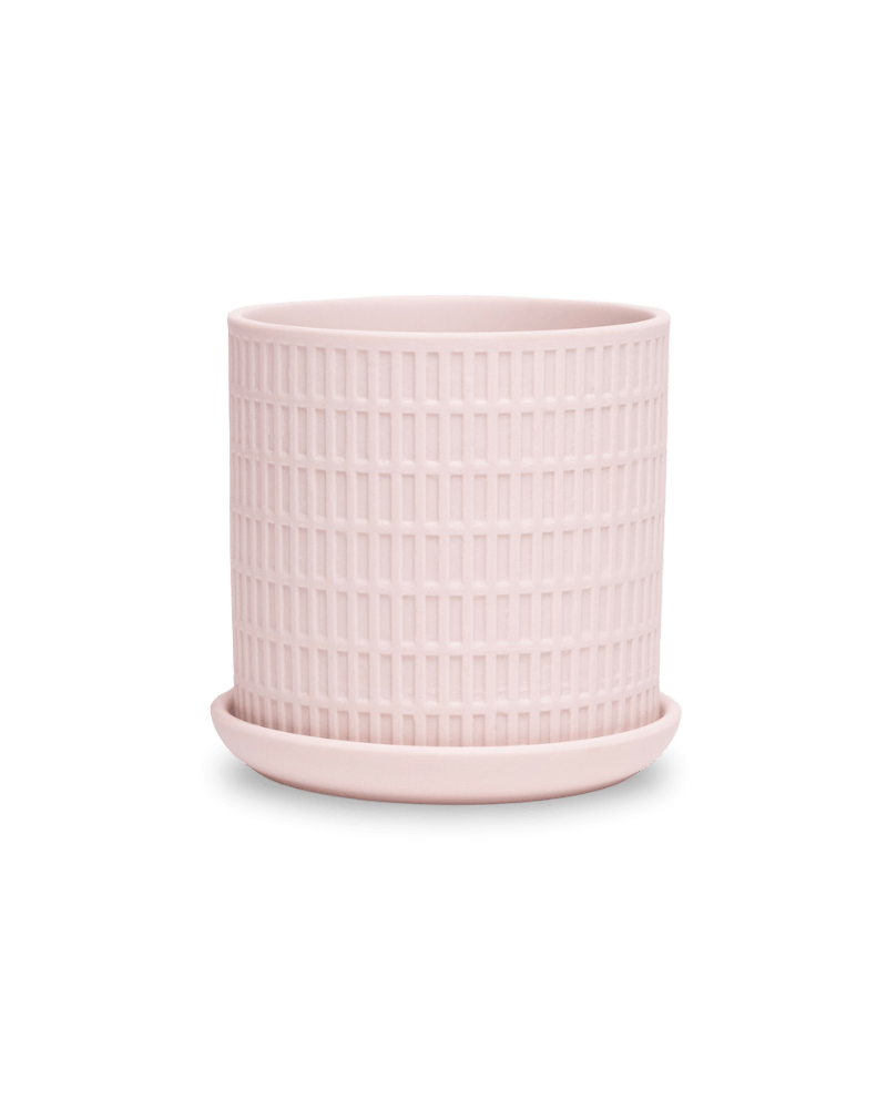 Virago 3.5" Porcelain Pot With Drainage Hole And Saucer - Chive Ceramics Studio - Pots - Chive Ceramics Studio