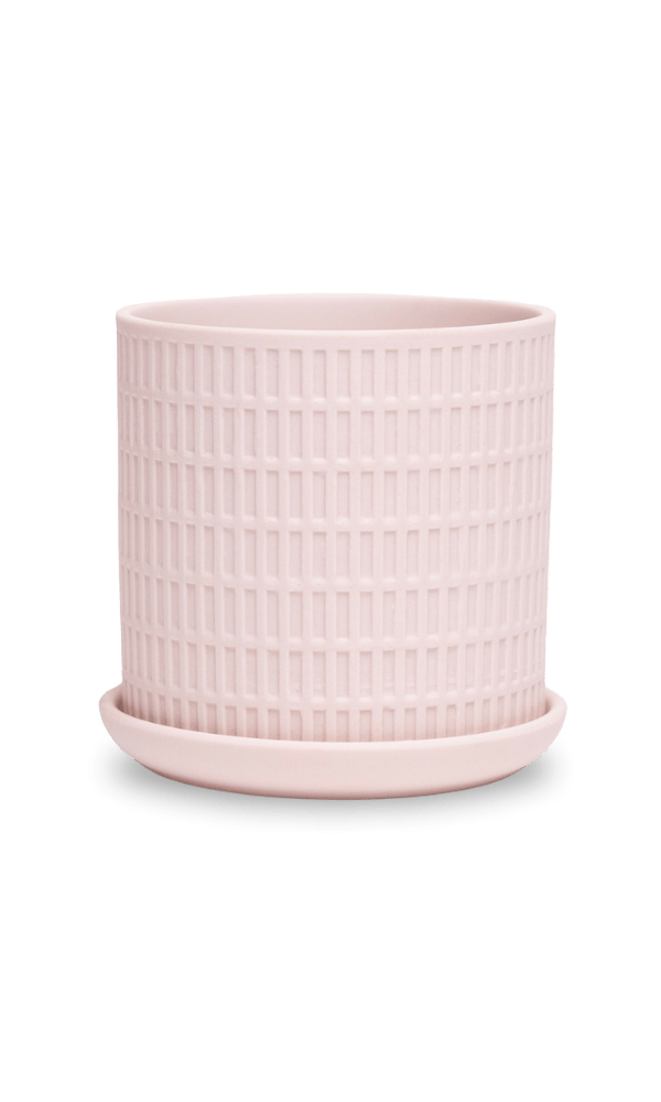 Virago 3.5" Porcelain Pot With Drainage Hole And Saucer - Chive Ceramics Studio - Pots - Chive Ceramics Studio