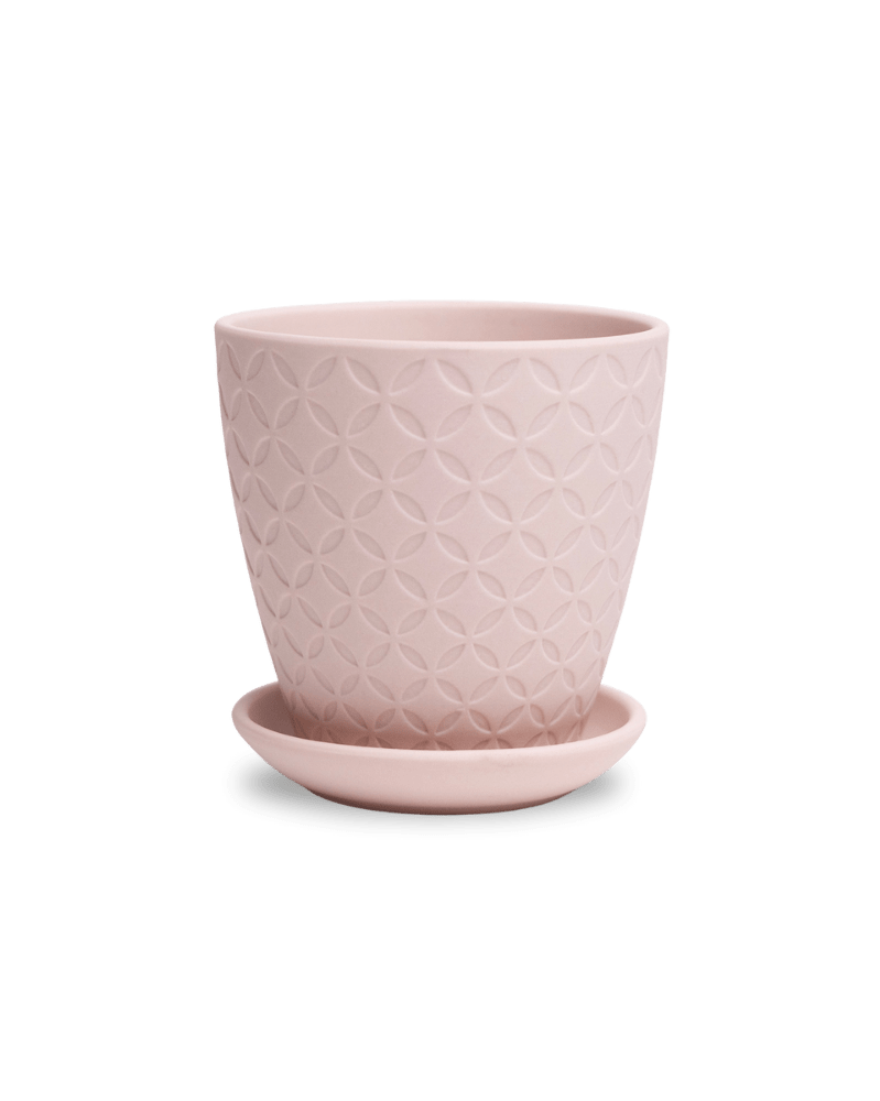 Virago 3.5" Porcelain Pot With Drainage Hole And Saucer - Chive Ceramics Studio - Pots - Chive Ceramics Studio