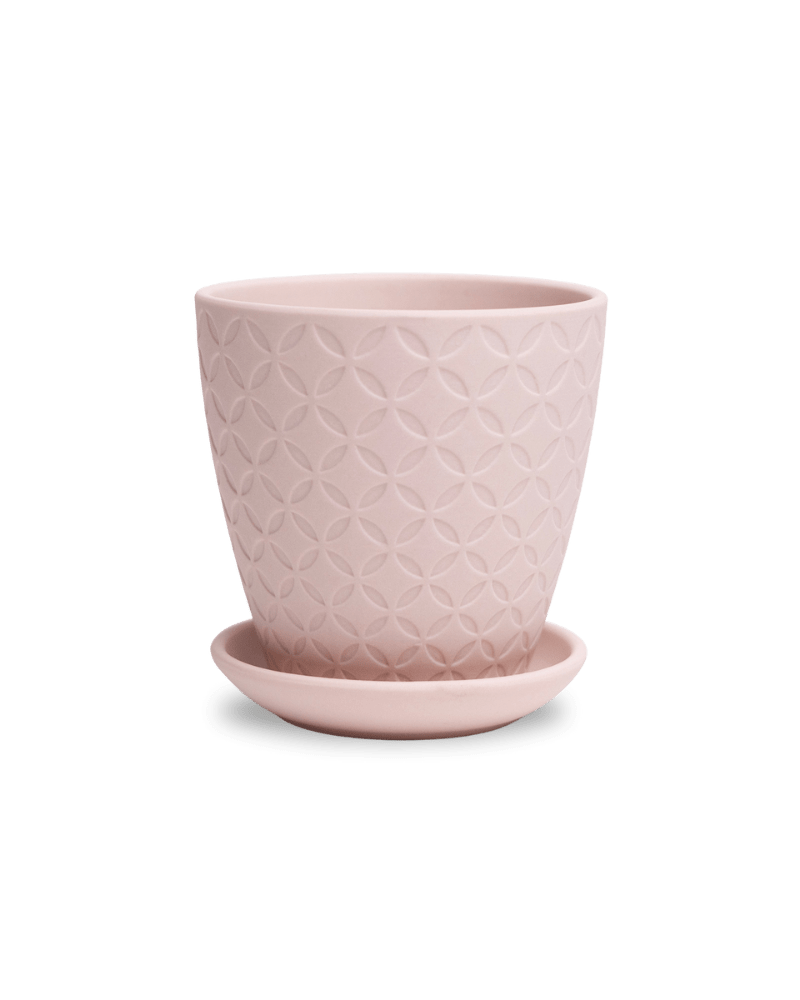 Virago 3.5" Porcelain Pot With Drainage Hole And Saucer - Chive Ceramics Studio - Pots - Chive Ceramics Studio