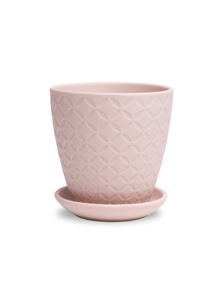 Virago 3.5" Porcelain Pot With Drainage Hole And Saucer - Chive Ceramics Studio - Pots - Chive Ceramics Studio