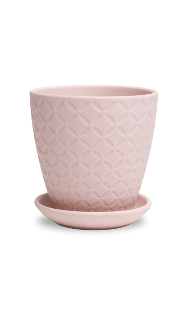 Virago 3.5" Porcelain Pot With Drainage Hole And Saucer - Chive Ceramics Studio - Pots - Chive Ceramics Studio