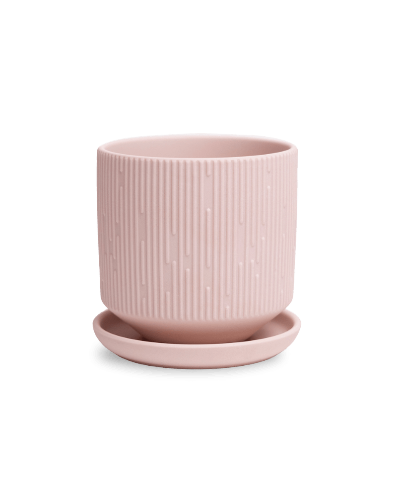 Virago 3.5" Porcelain Pot With Drainage Hole And Saucer - Chive Ceramics Studio - Pots - Chive Ceramics Studio