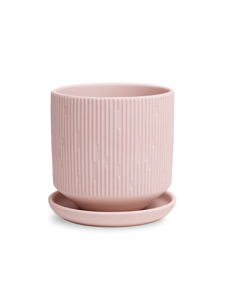 Virago 3.5" Porcelain Pot With Drainage Hole And Saucer - Chive Ceramics Studio - Pots - Chive Ceramics Studio