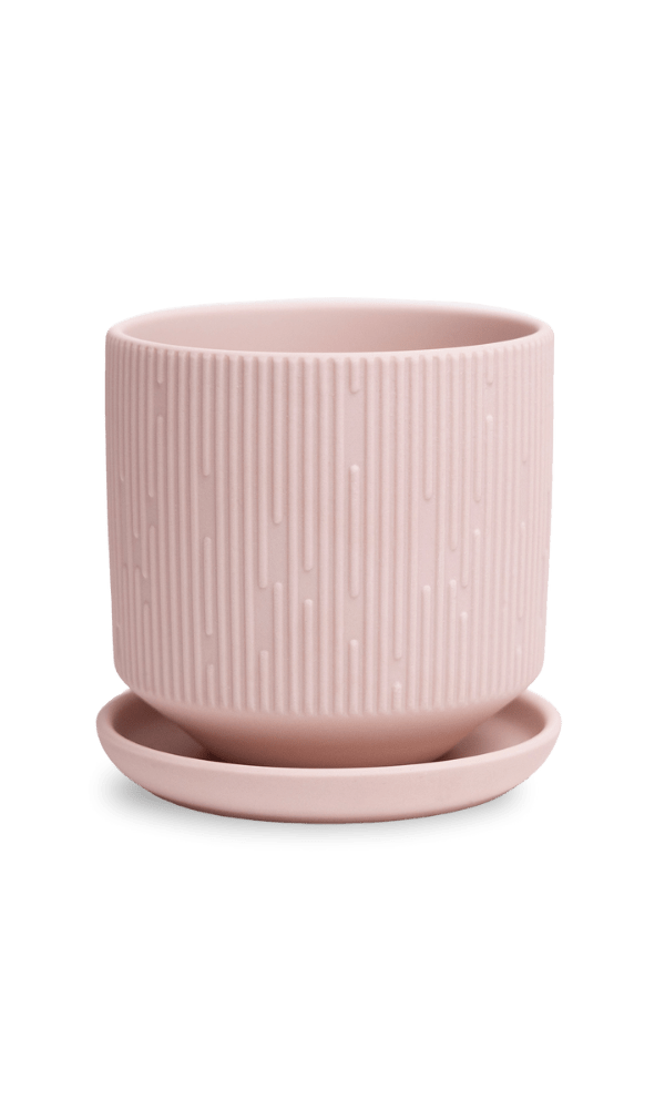 Virago 3.5" Porcelain Pot With Drainage Hole And Saucer - Chive Ceramics Studio - Pots - Chive Ceramics Studio