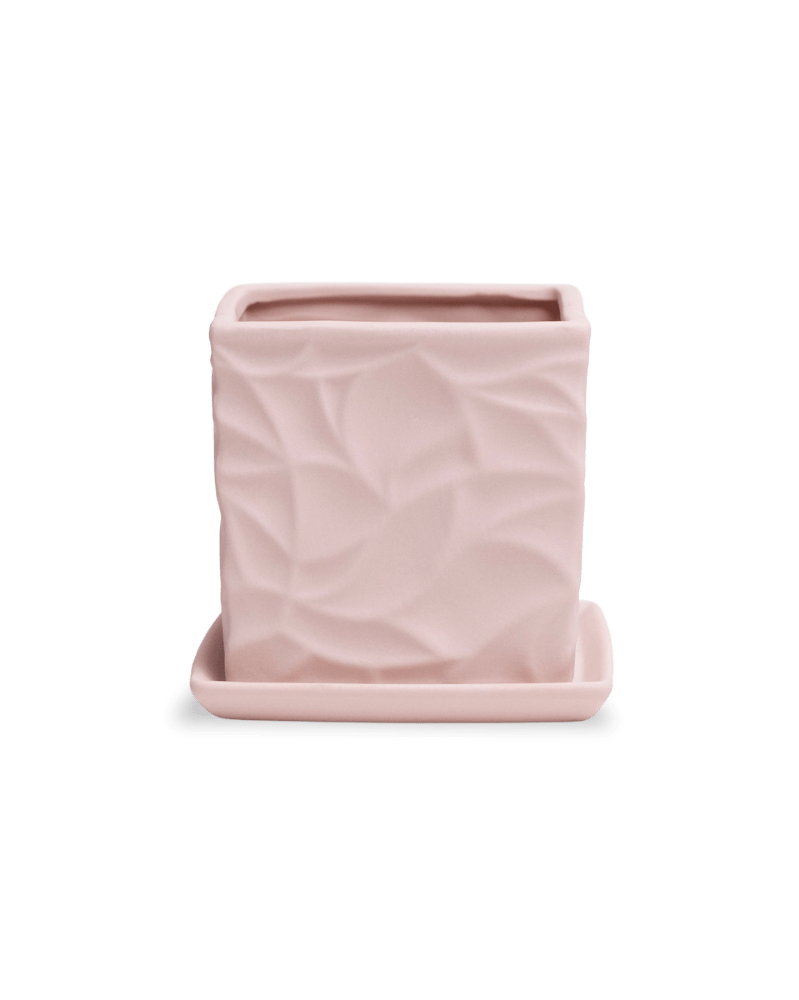 Virago 3.5" Porcelain Pot With Drainage Hole And Saucer - Chive Ceramics Studio - Pots - Chive Ceramics Studio