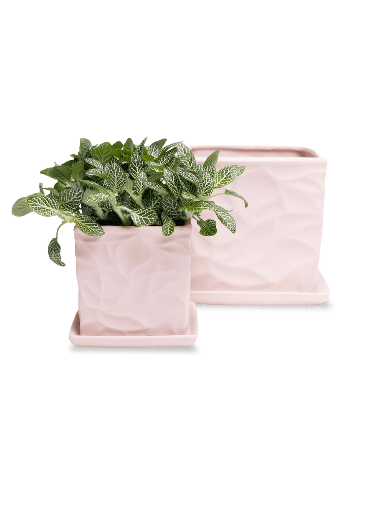 Virago 3.5" Porcelain Pot With Drainage Hole And Saucer - Chive Ceramics Studio - Pots - Chive Ceramics Studio