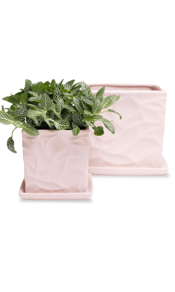 Virago 3.5" Porcelain Pot With Drainage Hole And Saucer - Chive Ceramics Studio - Pots - Chive Ceramics Studio