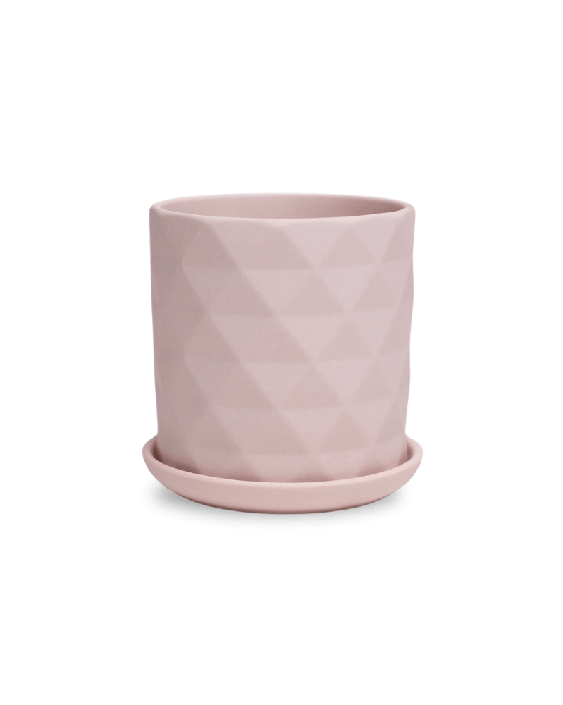 Virago 3.5" Porcelain Pot With Drainage Hole And Saucer - Chive Ceramics Studio - Pots - Chive Ceramics Studio