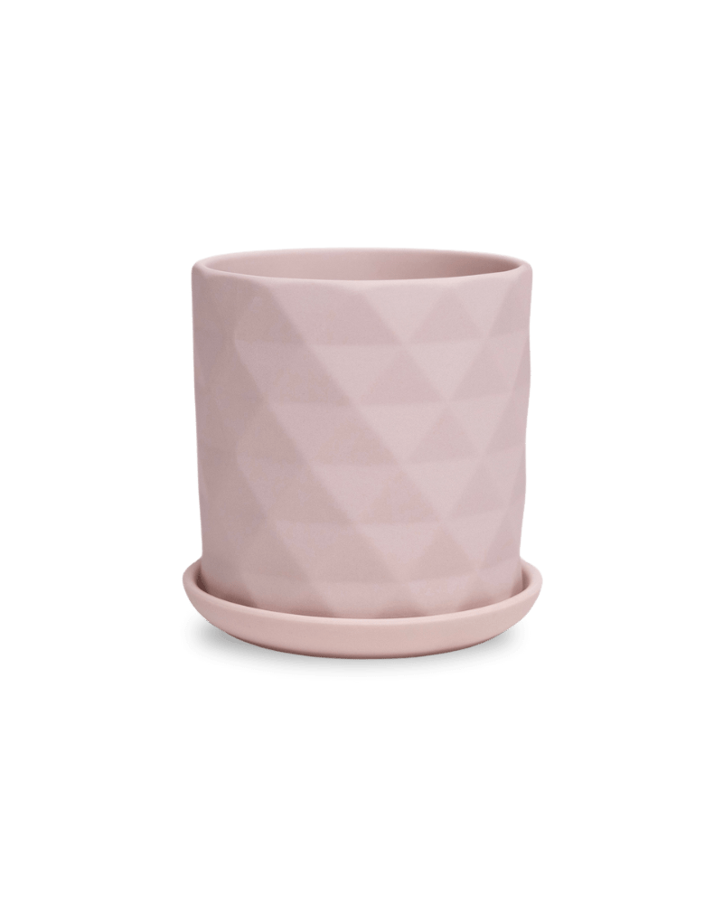 Virago 3.5" Porcelain Pot With Drainage Hole And Saucer - Chive Ceramics Studio - Pots - Chive Ceramics Studio