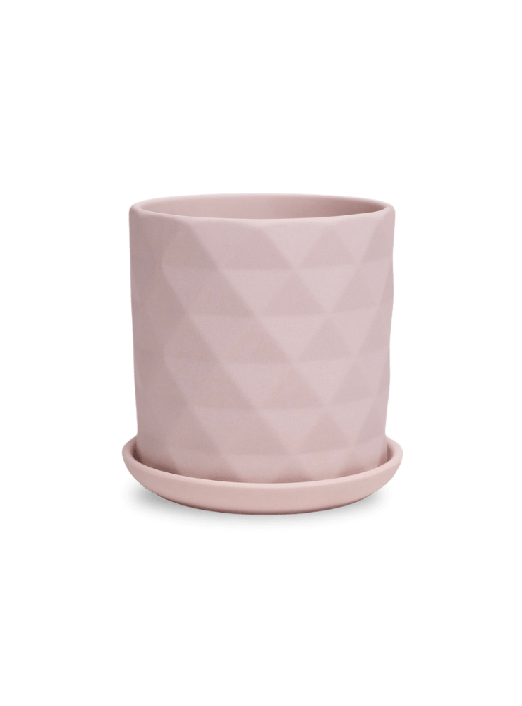 Virago 3.5" Porcelain Pot With Drainage Hole And Saucer - Chive Ceramics Studio - Pots - Chive Ceramics Studio