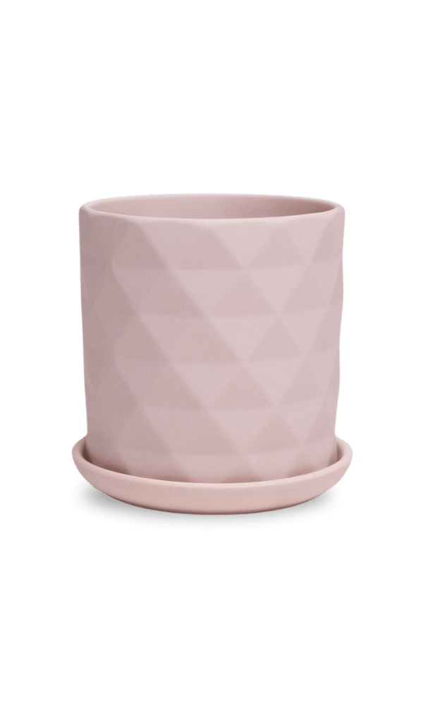 Virago 3.5" Porcelain Pot With Drainage Hole And Saucer - Chive Ceramics Studio - Pots - Chive Ceramics Studio