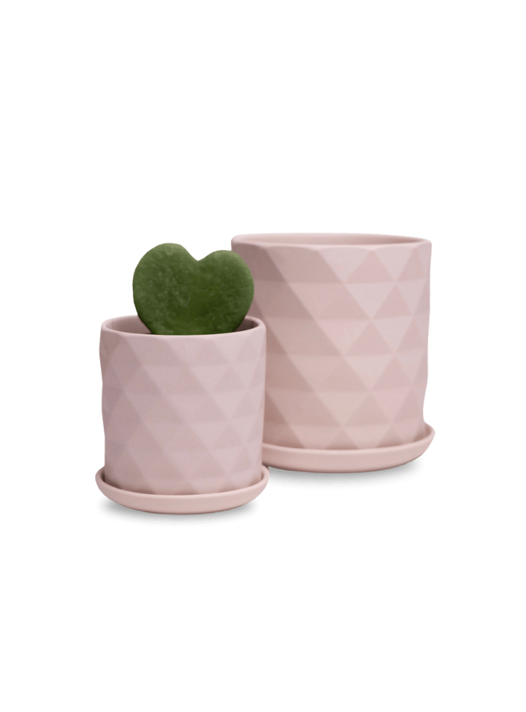 Virago 3.5" Porcelain Pot With Drainage Hole And Saucer - Chive Ceramics Studio - Pots - Chive Ceramics Studio