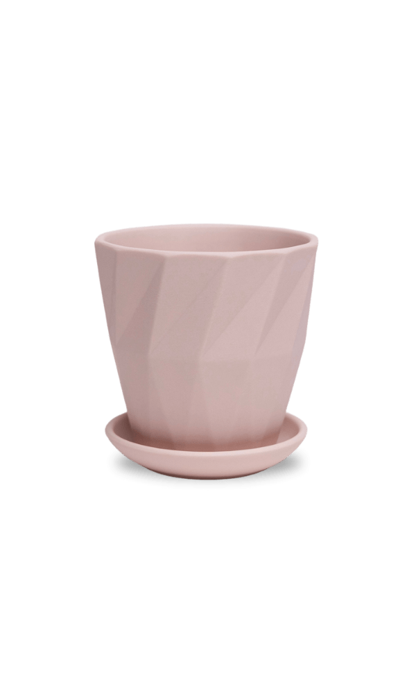 Virago 3.5" Porcelain Pot With Drainage Hole And Saucer - Chive Ceramics Studio - Pots - Chive Ceramics Studio