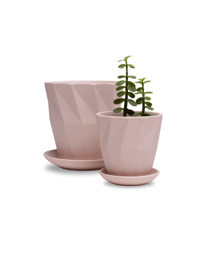 Virago 3.5" Porcelain Pot With Drainage Hole And Saucer - Chive Ceramics Studio - Pots - Chive Ceramics Studio
