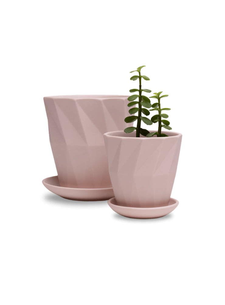 Virago 3.5" Porcelain Pot With Drainage Hole And Saucer - Chive Ceramics Studio - Pots - Chive Ceramics Studio