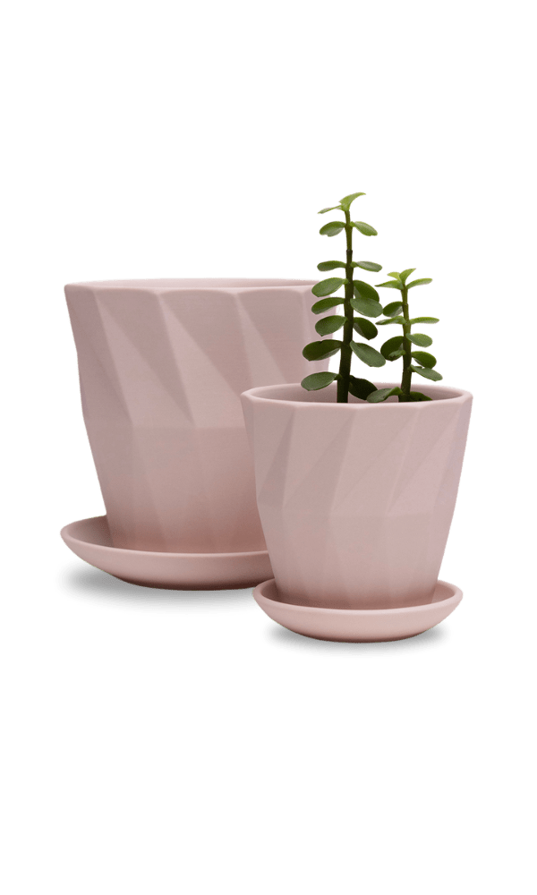 Virago 3.5" Porcelain Pot With Drainage Hole And Saucer - Chive Ceramics Studio - Pots - Chive Ceramics Studio