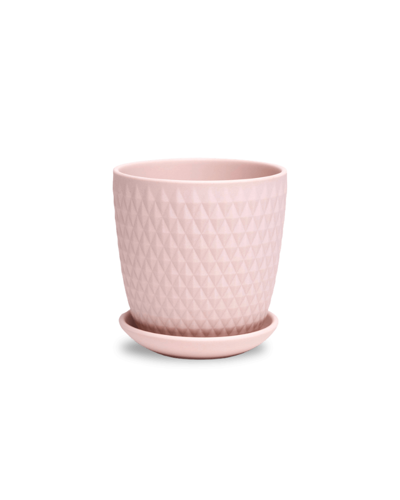 Virago 3.5" Porcelain Pot With Drainage Hole And Saucer - Chive Ceramics Studio - Pots - Chive Ceramics Studio